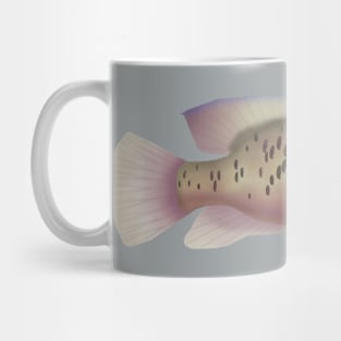 Sarabia Cichlid Mug